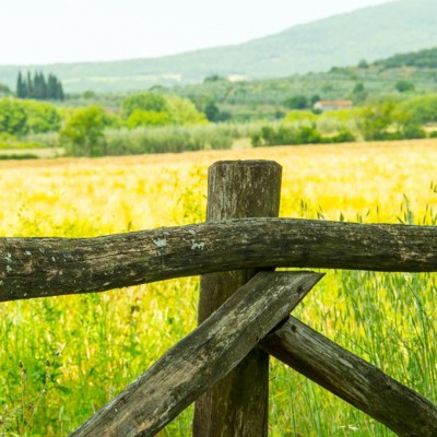 A summer in Tuscany